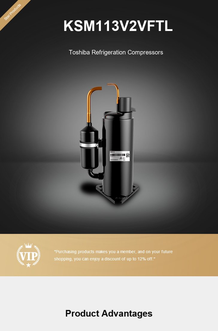 Toshiba Compressor KSM113V2VFTL, technical parameters pdf, structure diagram